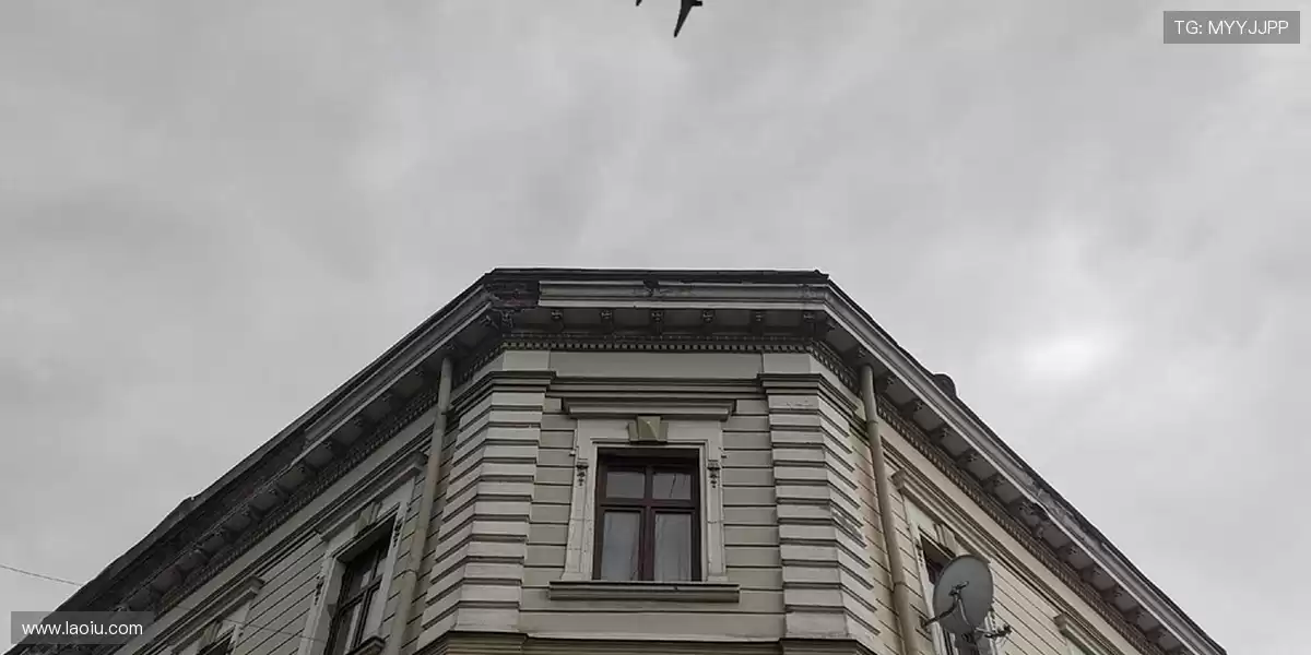 🌍 在旅行中感受地球的宽广,扎实坐姿,享受旅途的舒适 🛬